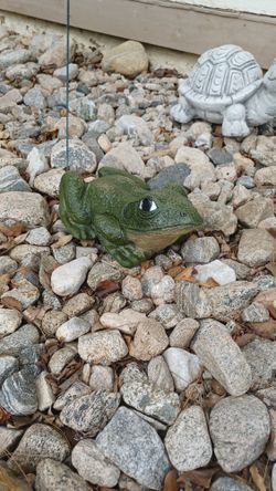 Cement Frog 🐸 For Garden Decorations