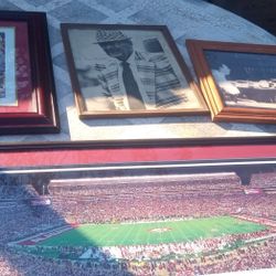Sports Pictures 