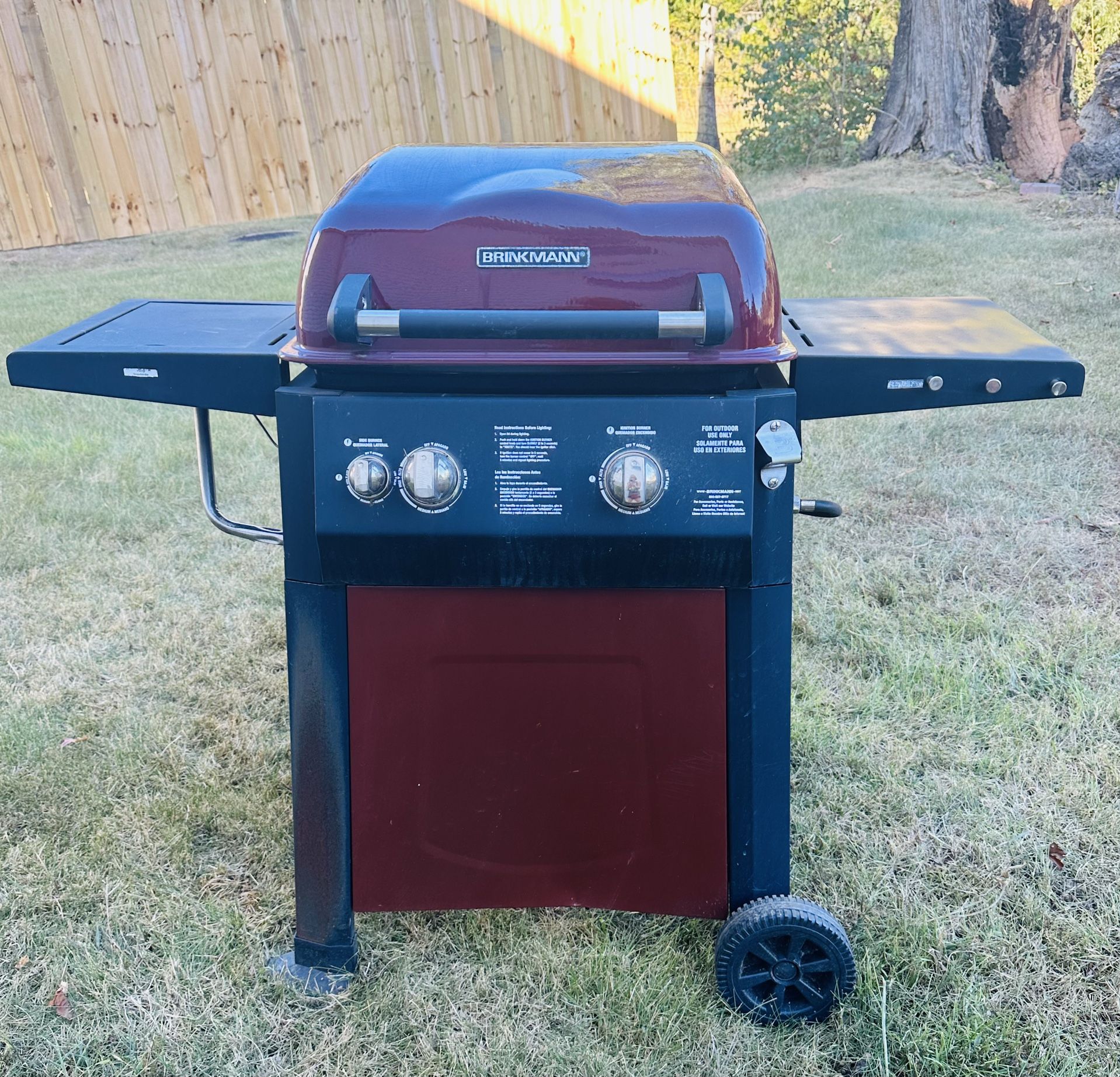 Gas grill