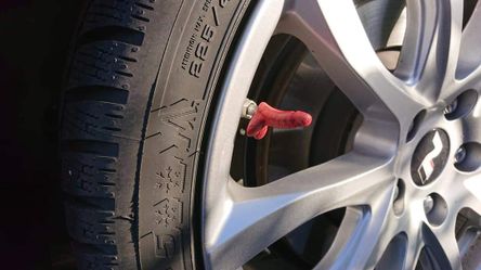 Tire Valve Stem Caps