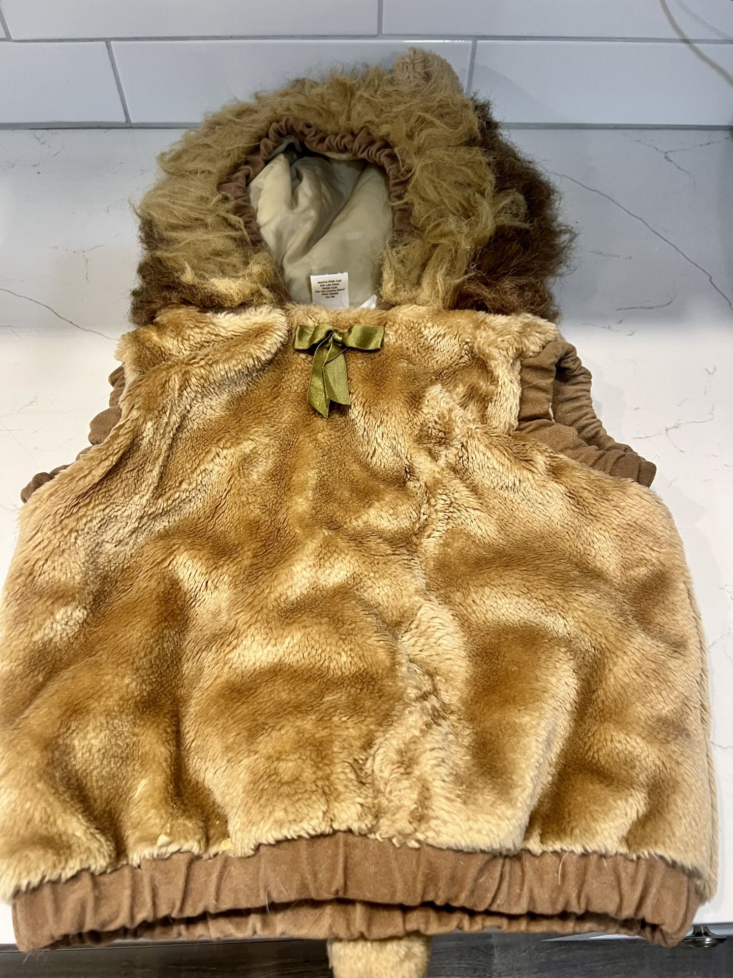 Lion Halloween Costume