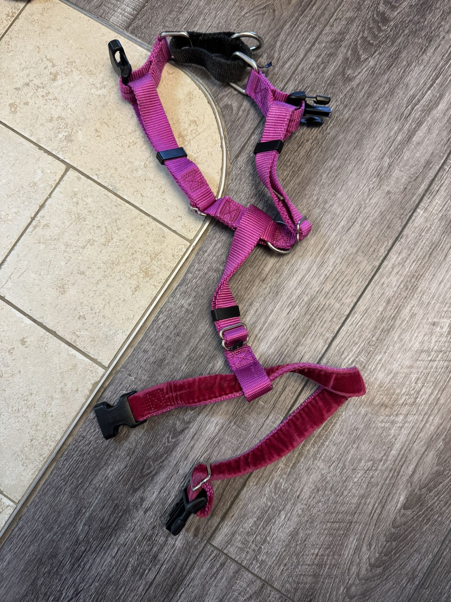 Dog Harness