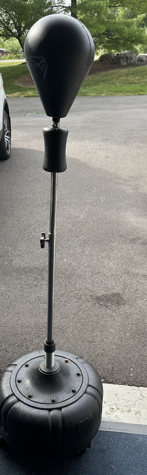 Standup Punching Bag