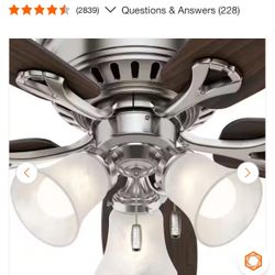 Ceiling Fan 