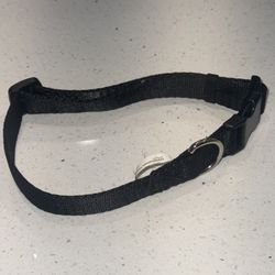 Large Dog Collar 