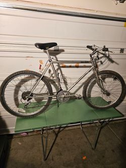 Vintage diamondback trail streak mountain bike.