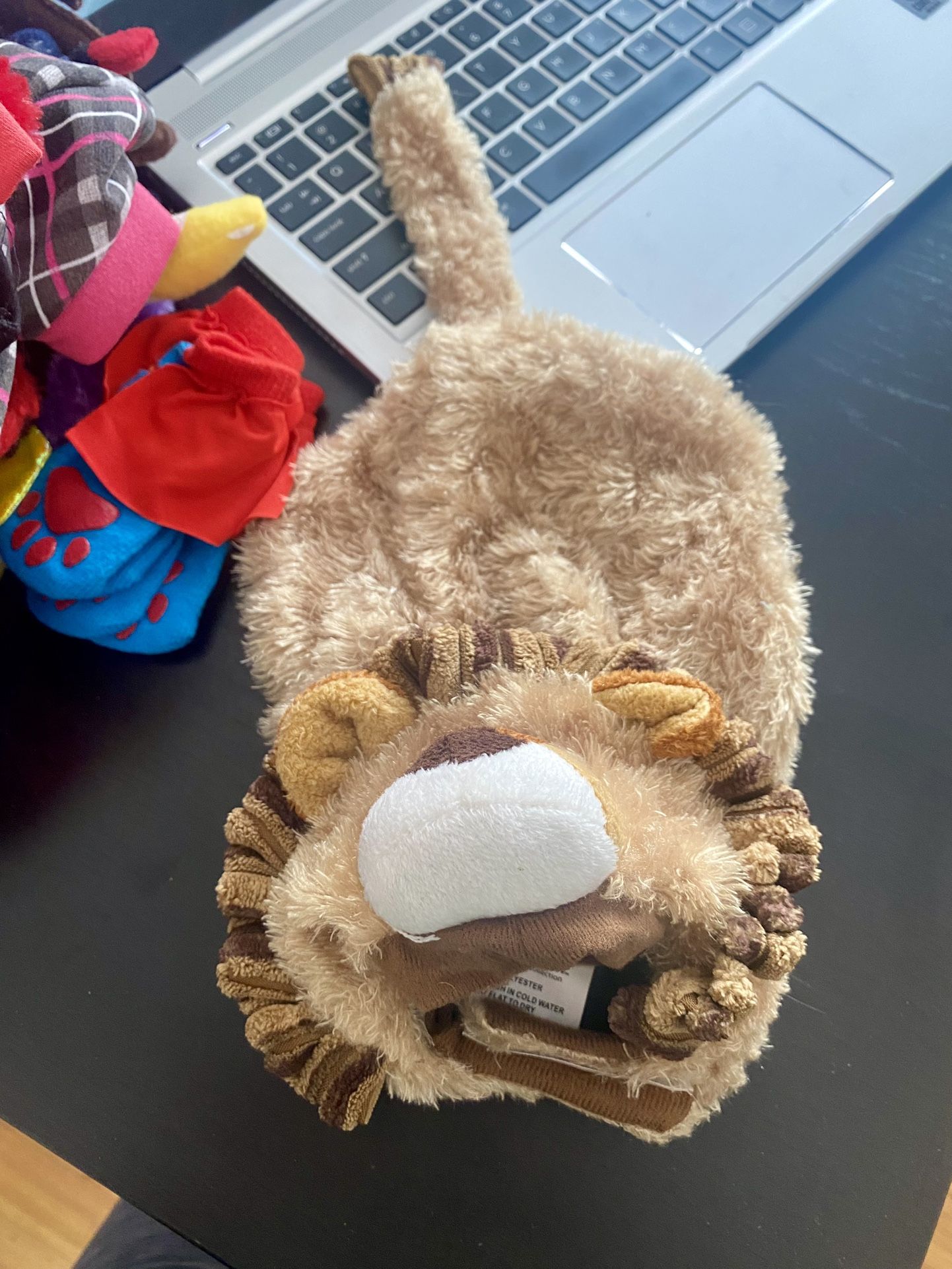 Lion Dog Halloween Costume