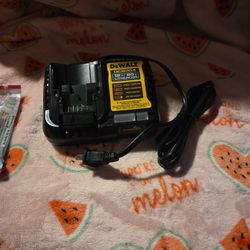 Dewalt Charger 4amp 12V/20V 