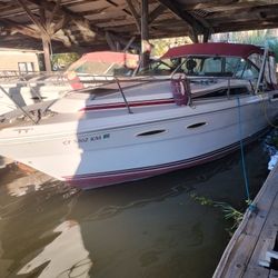 1989 Searay Sundance 300