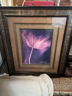 Framed Painting