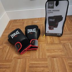 PROFESSIONAL BOXING GLOVES