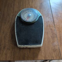 Bathroom Scale
