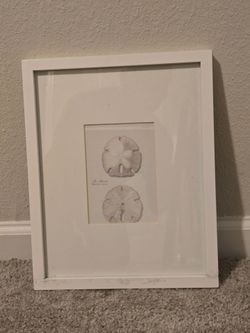 Pictures