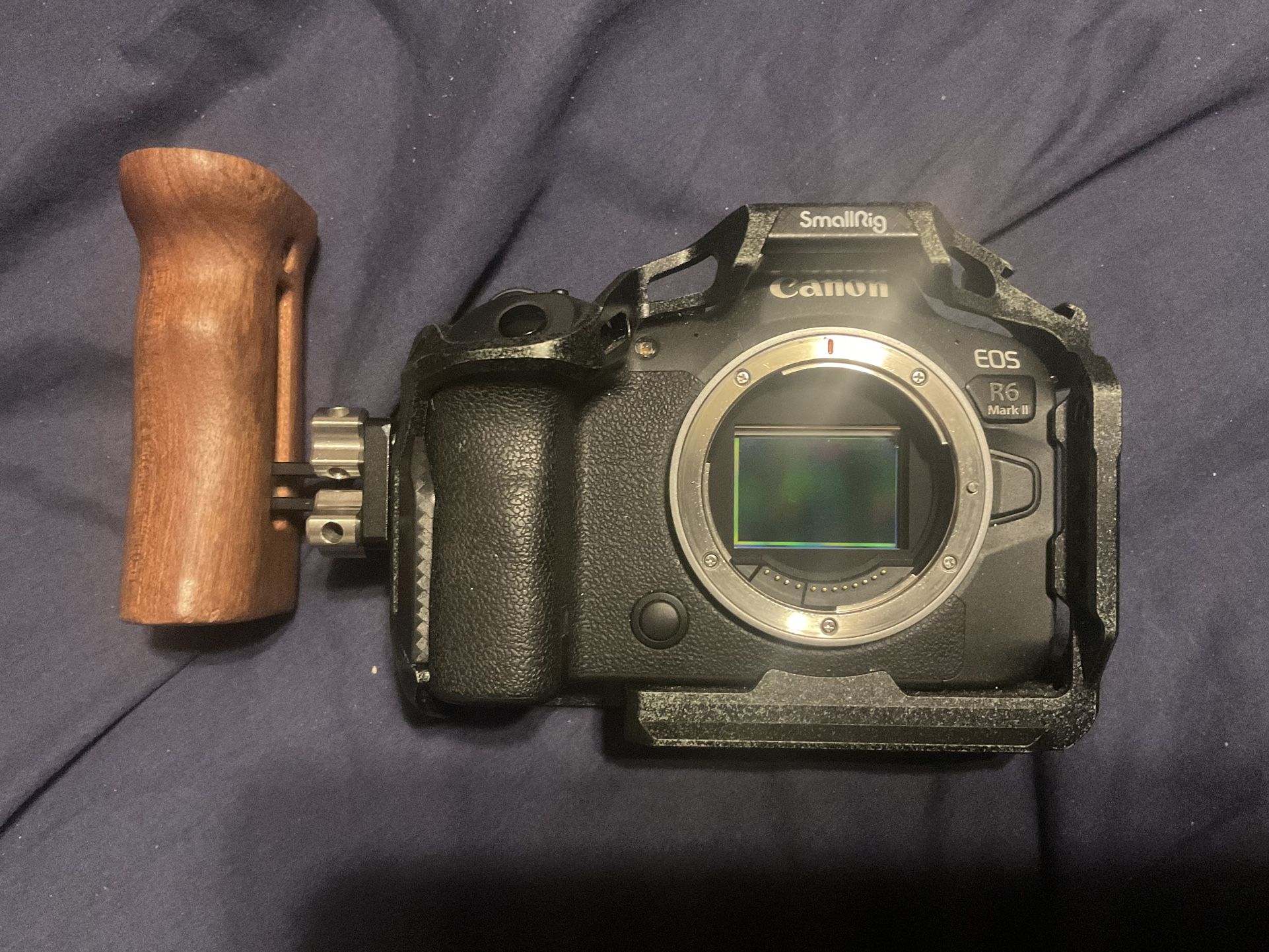 CANON REBEL R6 MARK II W SMALL RIG KIT 1550 Wow!!!!!! What A Deal