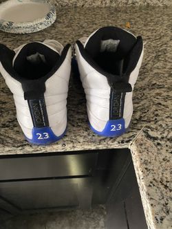 Jordan 12s Blueberry
