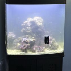 Biocube Fish Tank 