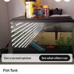 Fish Tank