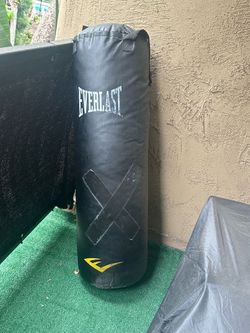 Everlast Punching Boxing Heavy Bag
