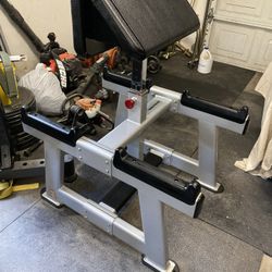 Standing Preacher Curl by Nautilus