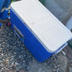 Great Cooler 