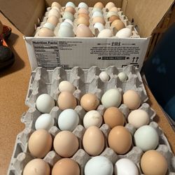 Organic Eggs