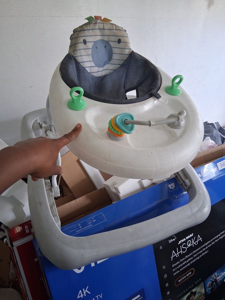 Baby Walker For A Boy And Girl