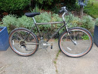 Schwinn Impact MTB Gravel