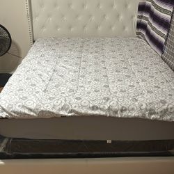 Queen Set Includes Mattress 