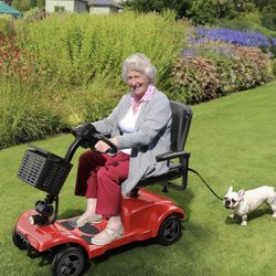 ENGWE Folding 4 Wheel Mobility Scooter,15 Mile Long Range, 250W Electric Powered Mobile Wheelchair for Seniors Adult with Detachable Basket, Front Lig