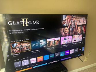 Vizio 55’’ TV Model: M558-G1