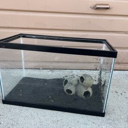 Small Aquarium 