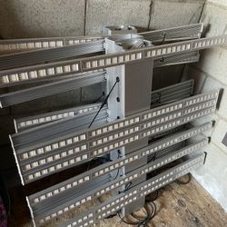 Phenom LED Grow Lights 