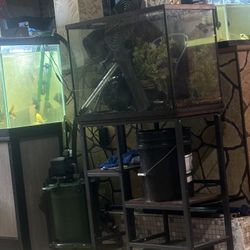 37 Gallon Fish Tank With Stand 