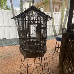 Bird Cage 