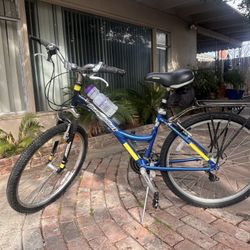 Diamond back Blue Mountain bike