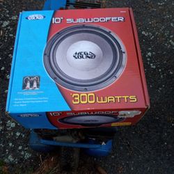 10" Subwoofer Speaker 