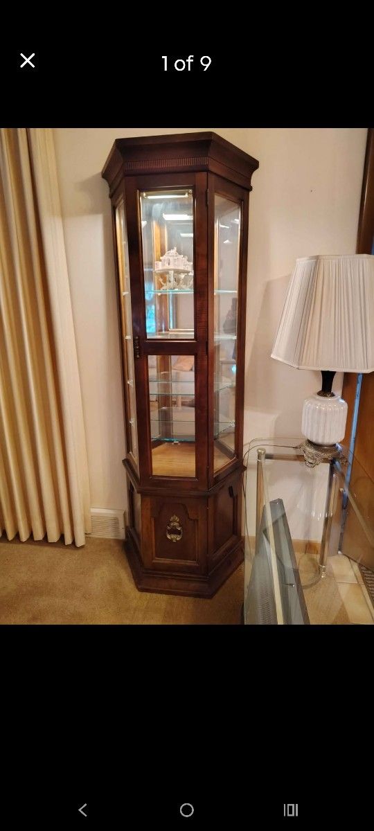 Curio Cabinet, Display Cabinet