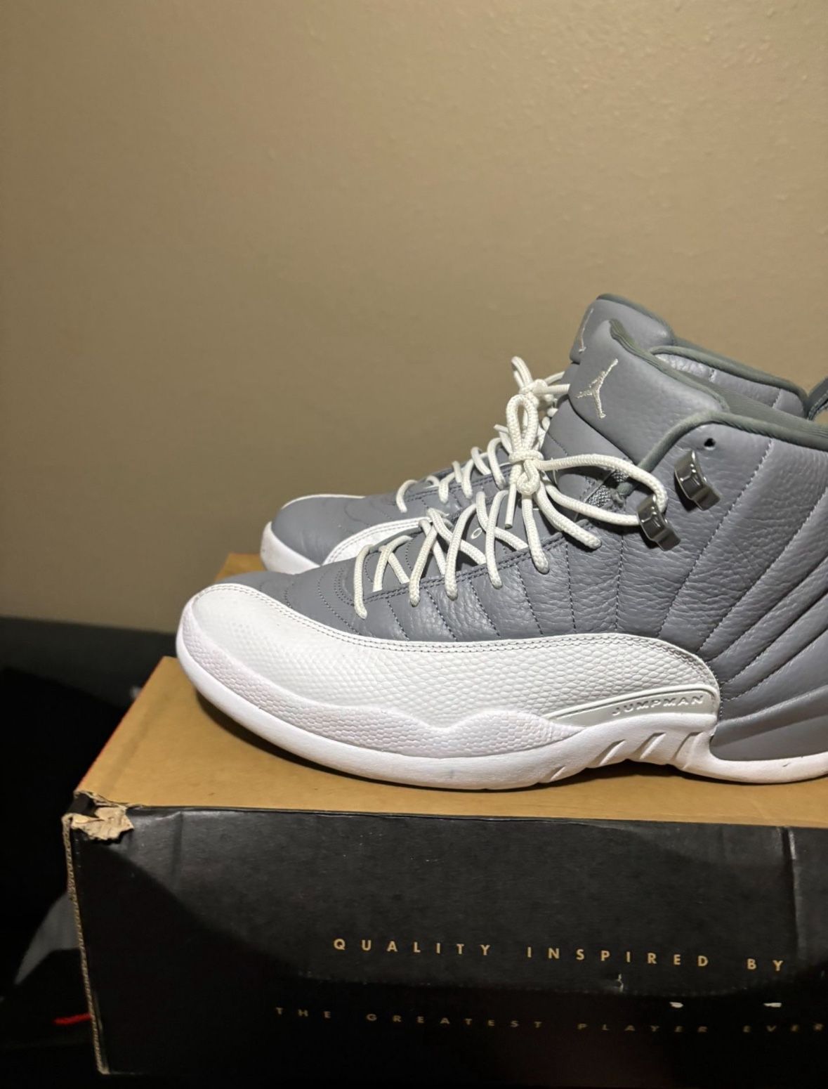 Jordan 12 Stealth SIZE 12