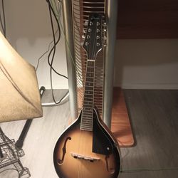 Donner Mandolin (Only 4 Strings Included)