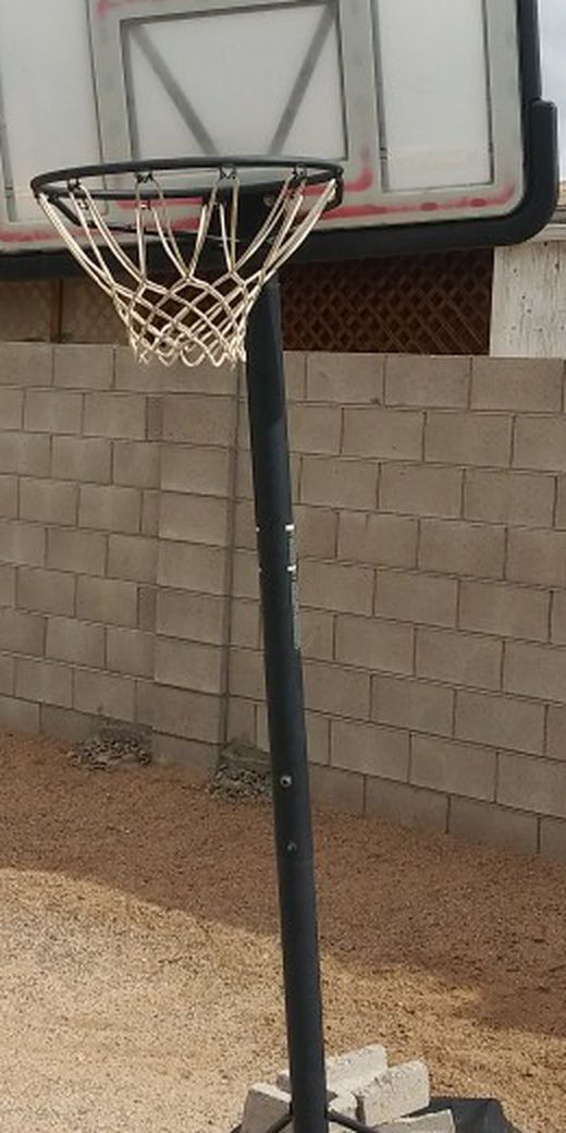 Freestanding Basketball Hoop