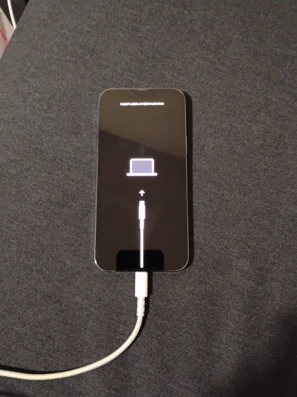 Locked iPhone For Sale $120