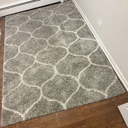 6x9 Shag Rug