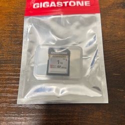 GigaStone 1TB Memory Card