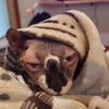 Michael
