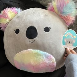 Rainbow Koala