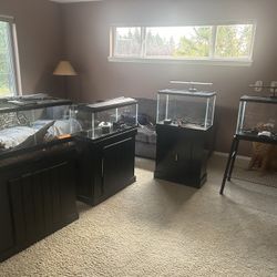 Fish And Reptile Tanks Aquariums 
