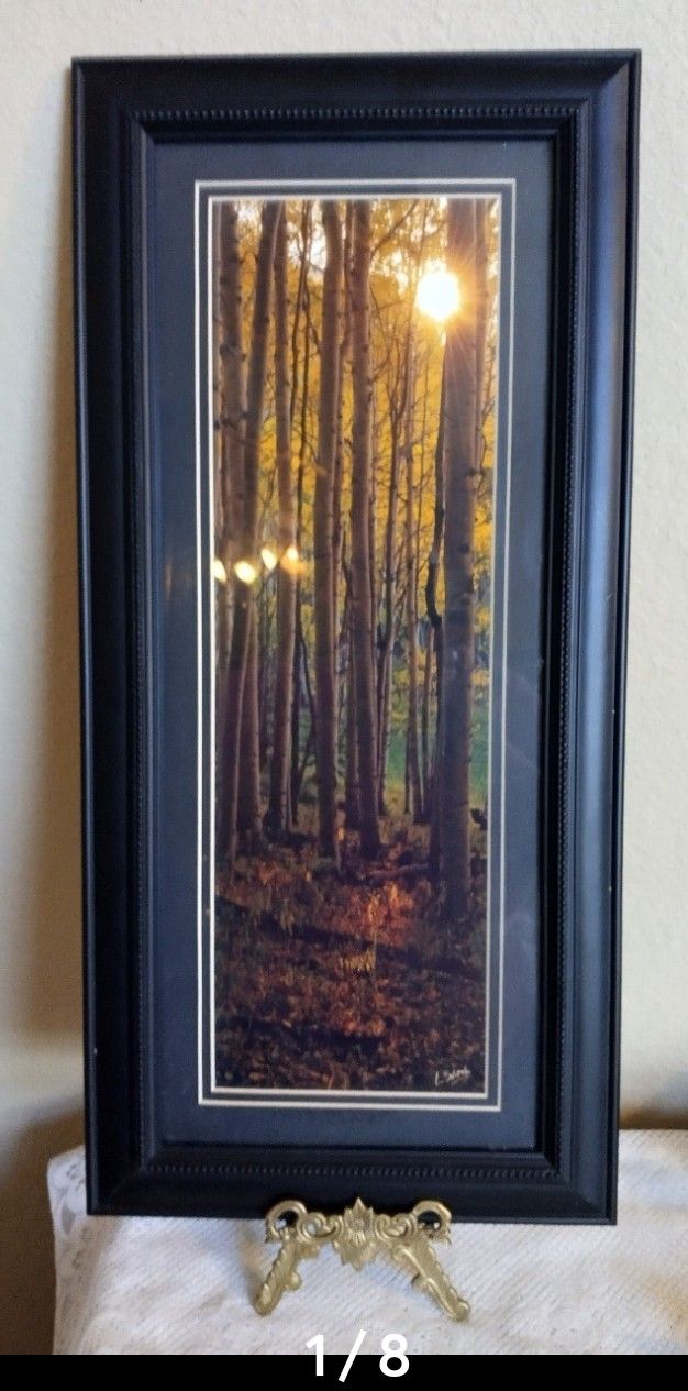 Signed Aspen Photo