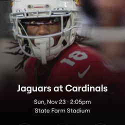 Club suite level Jaguars Vs cardinals 