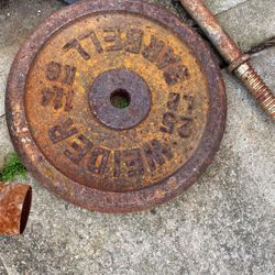 25lb Plate
