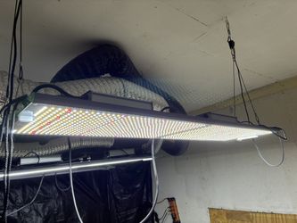 Dimmable LED Grow Lights